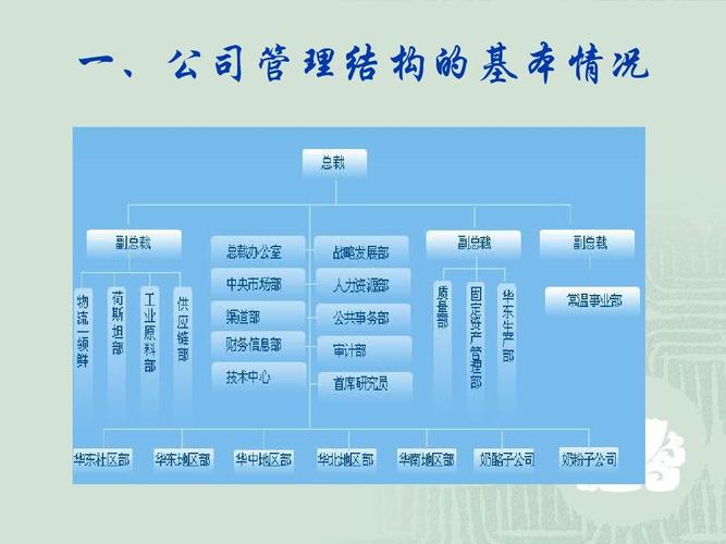 光明乳业公司管理结构分析ppt_word文档在线阅读与下载_无忧文档