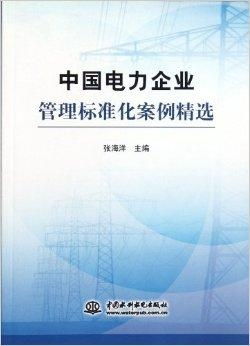 中国电力企业管理标准化案例精选